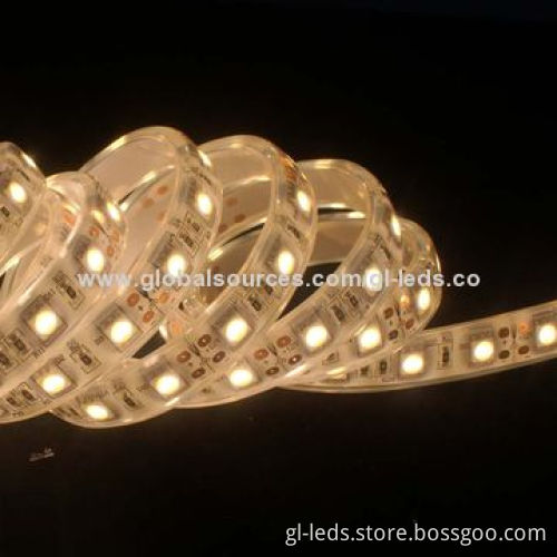 60 LEDs/M Dimmable 72W LED Rope Lighting